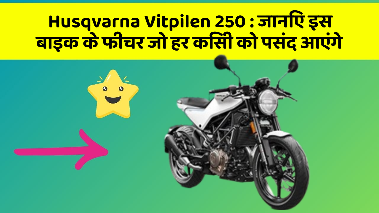 Husqvarna Vitpilen 250:ये कार फीचर हर कार मालिक को जानना चाहिए!