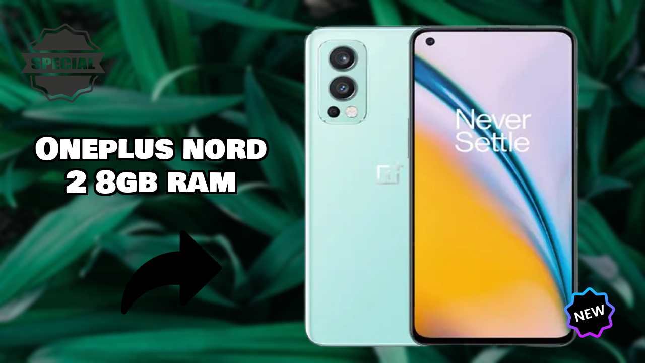 OnePlus Nord 2 8GB RAM Camera Test: 50 MP + 8 MP + 2 MP Rear Camera Photo Test